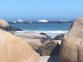 Art Journey Paternoster Western Cape
