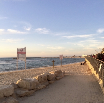 Art Journey Tel Aviv
