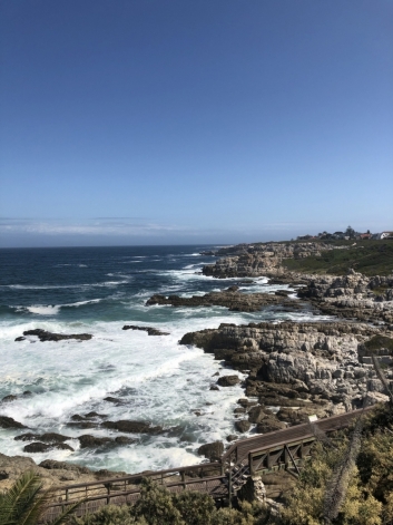 Hermanus